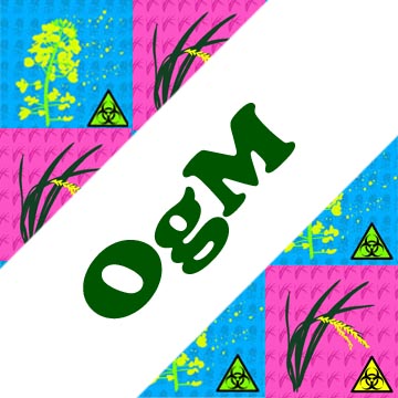 OgM1